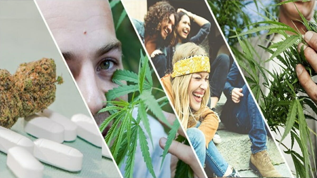 cannabis is changing the world