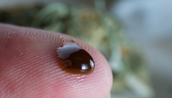 THC vs CBD: which compound is more useful? 4 THC vs CBD, thc, cbd, cannabis, marijuana, 420, medical cannabis, medical marijuana, medical marijuana, medical cannabis, mj, weed, cannabidiol, tetrahydrocannabinol,