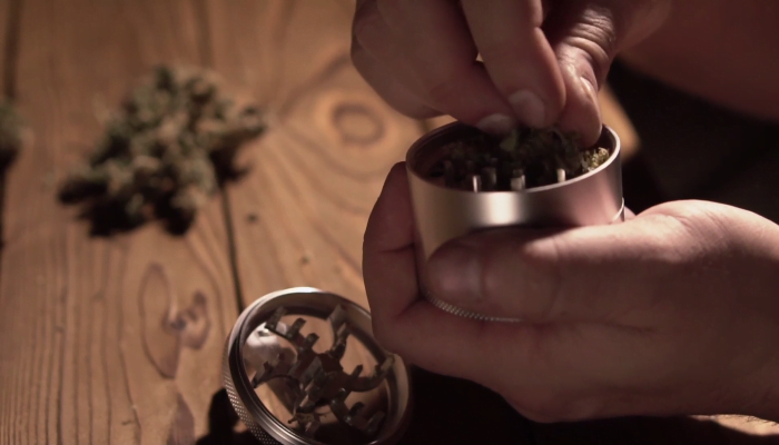THC vs CBD: which compound is more useful? 2 THC vs CBD, thc, cbd, cannabis, marijuana, 420, medical cannabis, medical marijuana, medical marijuana, medical cannabis, mj, weed, cannabidiol, tetrahydrocannabinol,