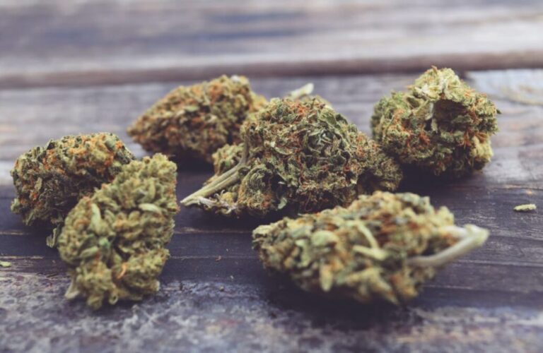 How to recognize CBD flowers and not to confuse them with cannabis?