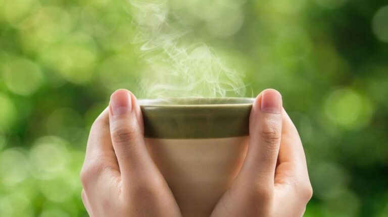 What are the benefits of a CBD herbal tea?