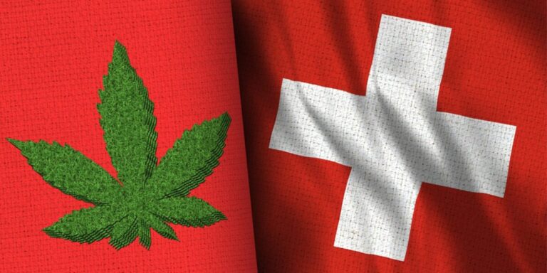 A Swiss study reveals the typical portrait of the CBD consumer