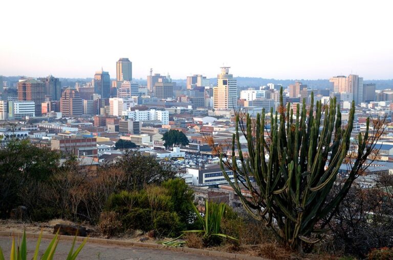 Zimbabwe: The medical cannabis cultivation program (finally) launched?