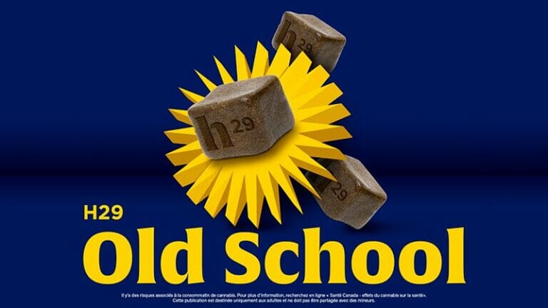 New Bleuh cannabis products marketed as hashish and dried flowers
