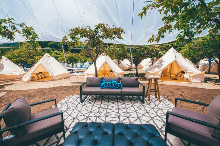 California festival combines music and cannabis
