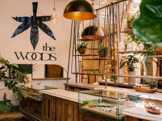 The interior of The Woods dispensary