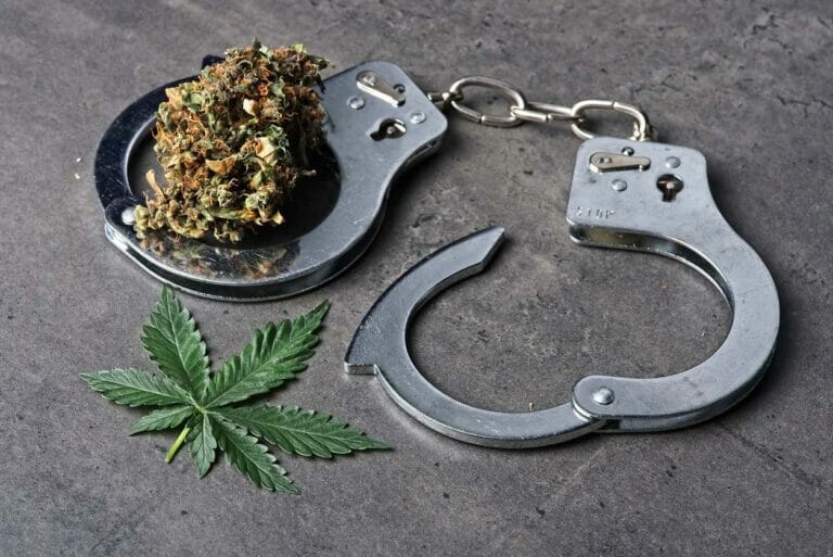 What are the risks of possessing CBD?