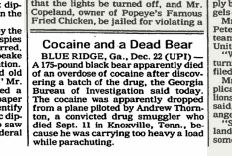 Cocaine Bear: The true story of a bear addicted to cocaine