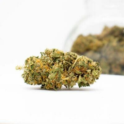 Orange Bud from Agrican
