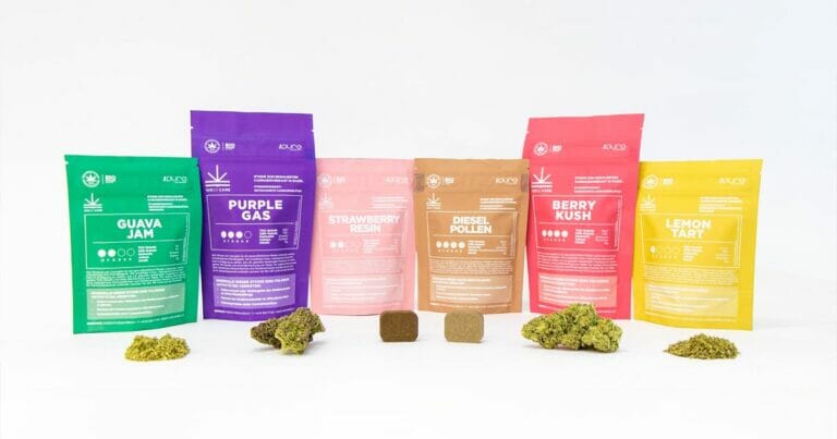 Zurich legalizes the consumption and sale of cannabis in a pilot project