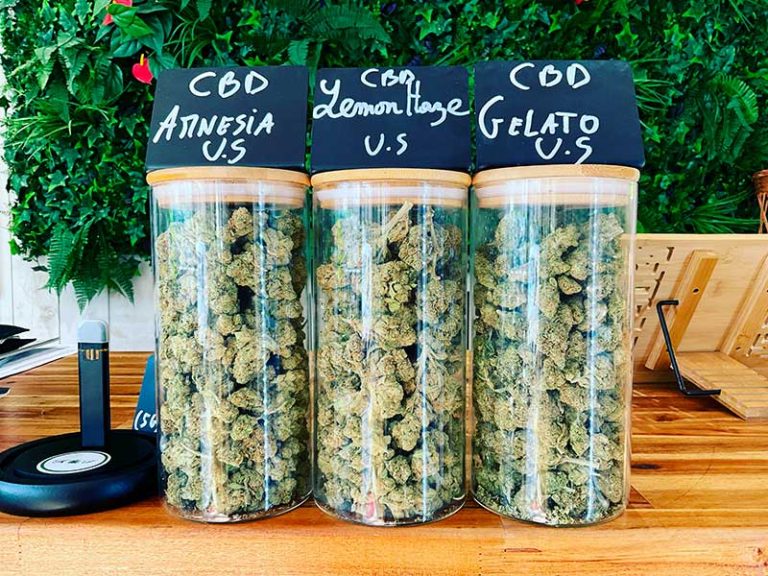 Kanna-Sucre: Where CBD meets tranquilli-tea in Versailles
