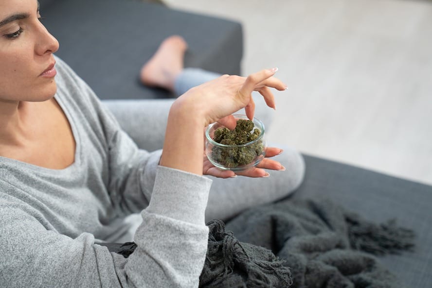 Woman holding a container filled with small CBD flowers