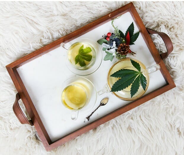 Tray with various CBD infusions to benefit from the benefits of hemp