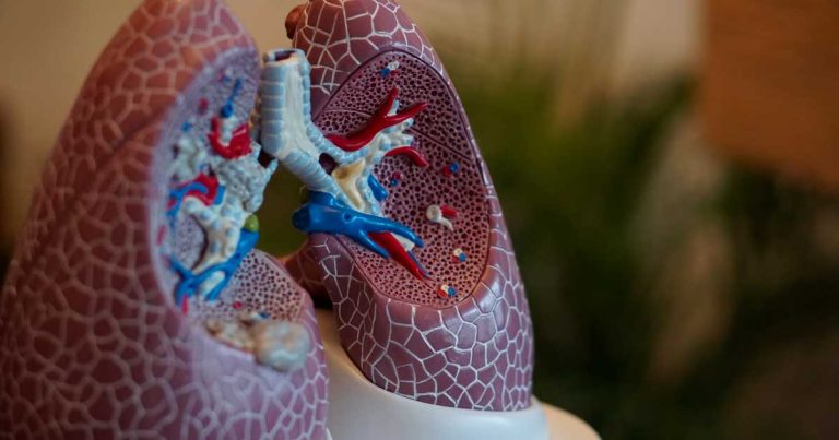 Why you should not smoke/vape cannabinoid acetates (THCo, HHCo, HHCPo, THCPo…)