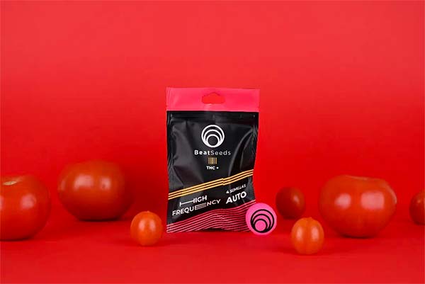 BeatSeeds seeds