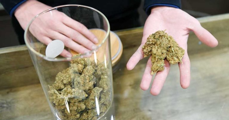 In Finland, a new citizens' initiative seeks to legalize cannabis