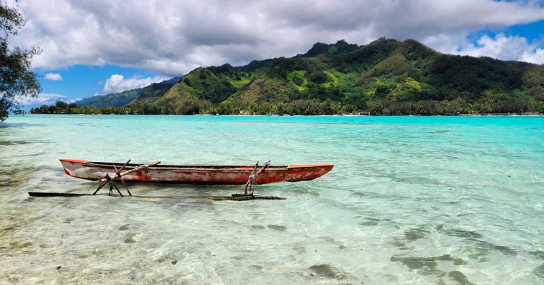 The Polynesian Economic Council does not want wellness hemp